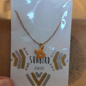 Texas Heart Necklace